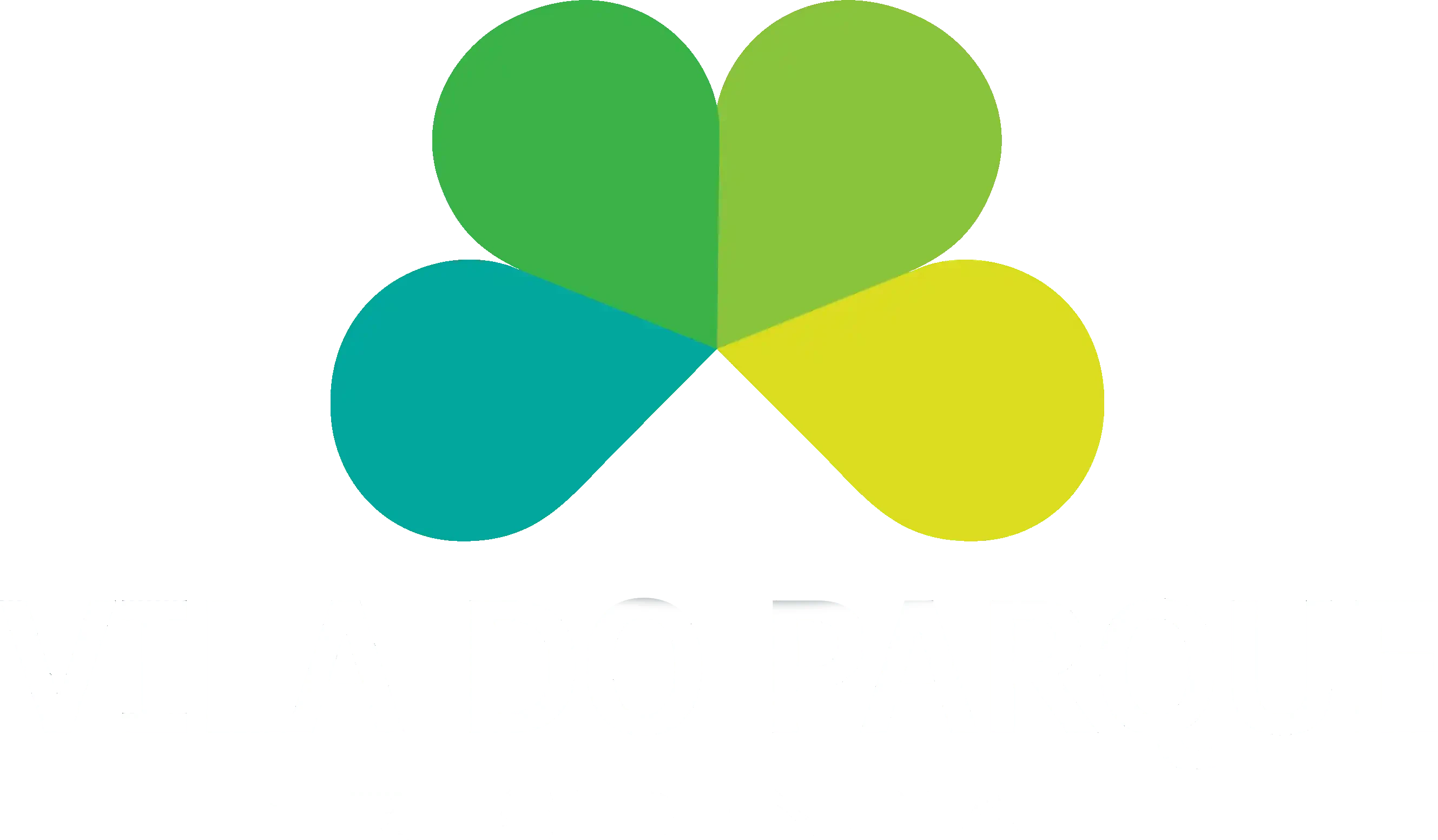 Vila do Parque